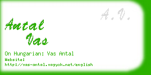 antal vas business card